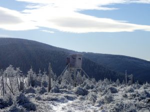 wintertocht Polen